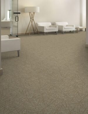 Aladdin Commercial Carpet Tile – Brilliantly Amazed  2B60 24″ x 24″ Carpet Tiles