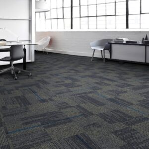 Aladdin Commercial Carpet Tile – Take Shape Tile 2B117 24″ x 24″ Carpet Tiles