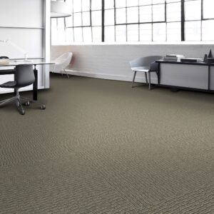 Aladdin Commercial Carpet Tile – Compel   QA129 24″ x 24″ Carpet Tiles