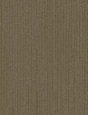 Mohawk Group Headstrong – BT354 24″ X  24″ Carpet Tile