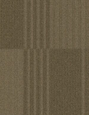 Mohawk Group Reckless – BT353 24″ X  24″ Carpet Tile