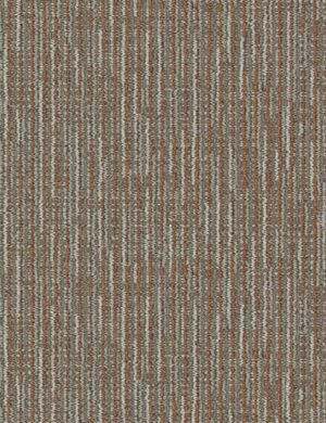 Mohawk Group Shifted Focus – GT448 12″ X 36″ Carpet Tile