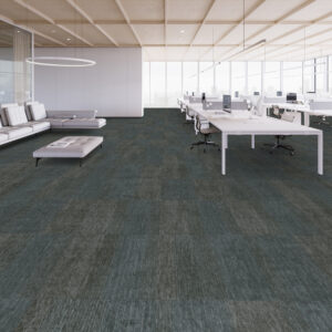 Shaw Contract Simply By Nature Arrange Tile – 5T294 24″ X 24″ Carpet Tile