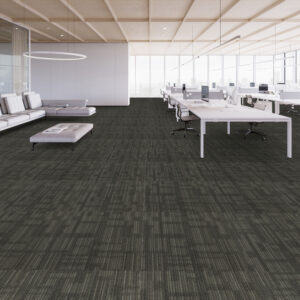 Shaw Contract Clearview Transparent Tile – 59563 24″ X 24″ Carpet Tile