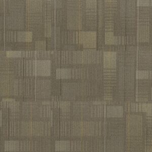 Shaw Contract Disperse Diffuse Strataworx Tile – 5T419 24″ X 24″ Carpet Tile